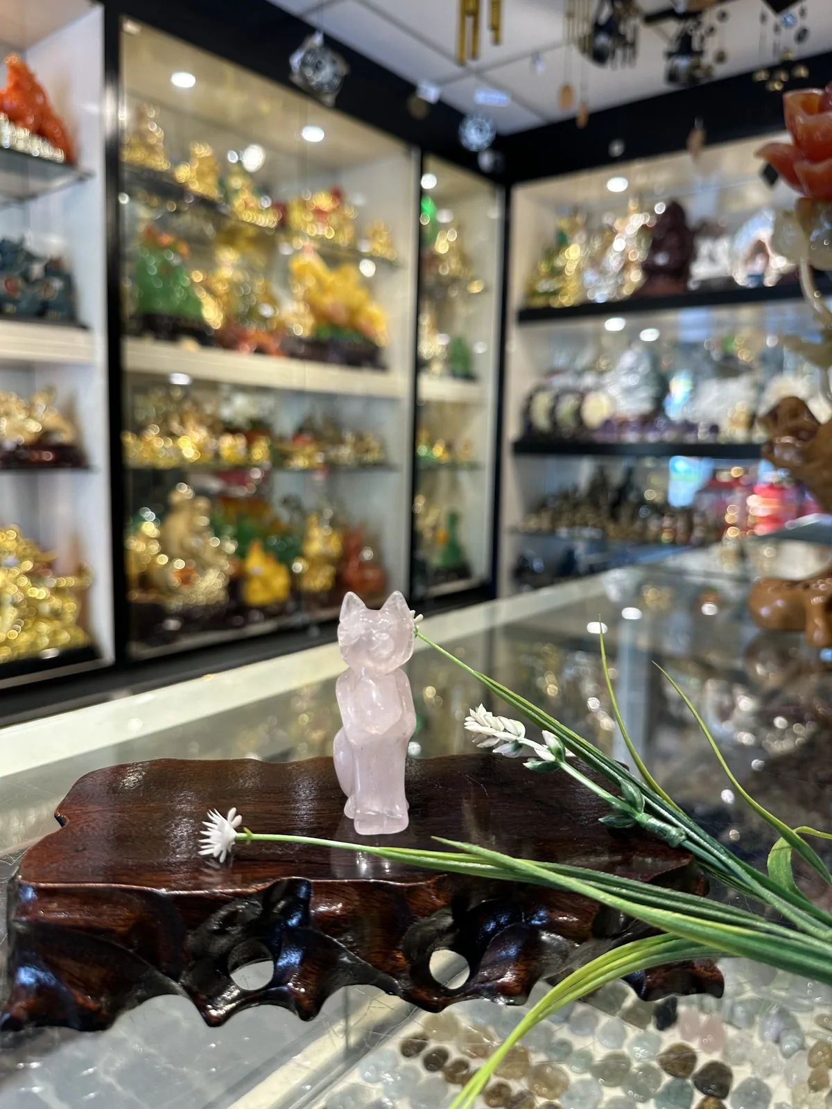 Hồ ly thạch anh hồng -3 tấc H080